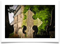 Of Still Churchyard digital - Carol Sparkes
